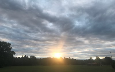 Learning to feel