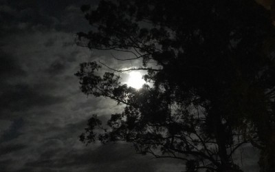 Waning